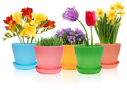 Happybase Blumentöpfe Mit Loch, 8 Stück 4 inch Klein Töpfe kakteen, 10cm Kunststoff Pflanztöpfe Rund, Blumentopf Mit untersetzer Für Büro Balkon (8 Farben)