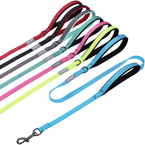 VIVAGLORY Twingrip Dog Lead, Double Handle Dog Lead for Training & Walking with Traffic Handle & 2 Loop, Traffic Control Reflective Heavy Duty for Puppy Pet, 1.2m x 1.4cm, Lake Blue