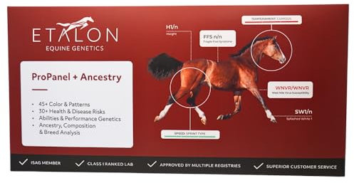 Etalon Equine Genetics Pro Paket + Ancestry Horse DNA Test, Gentests Plus Ancestry (70+ Merkmale) – Identifizieren Sie die Zusammensetzung und DNA von Pferderassen – Test auf Fellfarbe, Krankheiten,