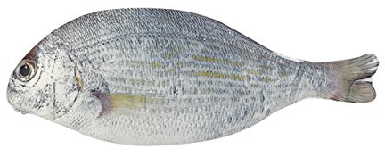 Wrapables® Federmäppchen im Fisch-Stil, Weiß