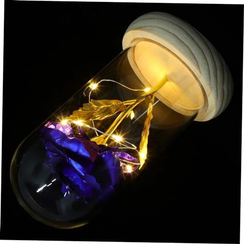HOMOCONO Rose Préservée avec Lumières LED sous Cloche Verre Décoration Éternelle pour Bureau et Maison Bleu sans Pile