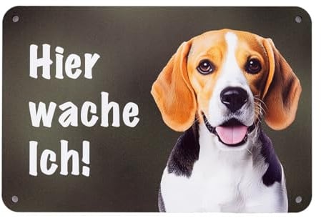 Beagle „Hier wache ich!“ Hundeschild – Warnschild Hund für Gartenzaun, Gartentor und Haustür – Zaunschild aus Aluminium-Verbundmaterial – 24 x 16 cm