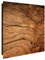 banjado® Großer Schlüsselkasten Glas/Schlüsselbox 30cm x 30cm mit 50 Haken - Motiv Trockenes Holz/Schlüsselkasten modern für Schlüsselaufbewahrung mit beschreibbarer, magnetischer Glastür