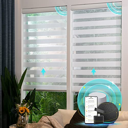 CITOLEN Motorized Zebra Blinds with Remote, White, 35 W x 72 H