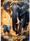 MOGTAA Éléphant Peinture Diamant Adulte, 5D Fleurs Diamond Painting Complet Diamant Kit Enfants, Diamant Painting Animaux Strass Point de Croix Cristal pour Murale Décor 30x40cm