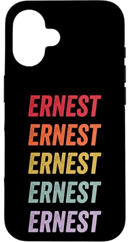 Hülle für iPhone 16 Ernesternest