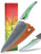 SANMUZUO Coltello da Chef da 20CM, giapponese VG-10 Coltello da cucina in acciaio damasco, coltello da cucina ultra affilato con impugnatura a codolo intero in resina verde, serie LA-S9