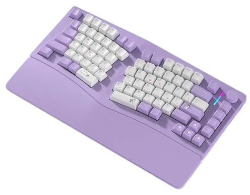 XXINGYULI Clavier mécanique Ergonomique remplaçable à Chaud, Compatible rvb à Trois Modes, Compatible avec PC Gamer et Accessoires d'ordinateur Portable, Longue durée de Vie(Purple White)