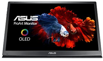 ASUS ProArt PQ22UC - Monitor de 21.6 UHD OLED (4K, 3840 x 2160 Pixeles, 204 ppi, HDR-10, 99% DCI-P3, 0.1 ms,) Negro y Gris