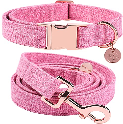 DOGWONG Hundehalsbänder rosa, Hundehalsbänder und Leine aus rosa hundehalsband, Bequeme verstellbares Hundehalsband für kleine mittelgroße Hunde