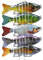 Angelköder Fische Angeln Set 5 Stück Swimbait Kit Segmentierte Robotik-Angelköder Set Zum Selbstschwimmen Roboterfischköder Kreatives Angelzubehör Angeln Geschenk Für Männer