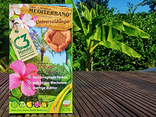 Bananen, Bananenbaum, Dünger 1,5 Kg