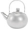 EVGATSAUTO Tetera de Acero Inoxidable 304, Tetera de Fondo Plano, Cocina de Inducción, Hervidor de Agua, Tetera con Filtro (Plata 16CM)
