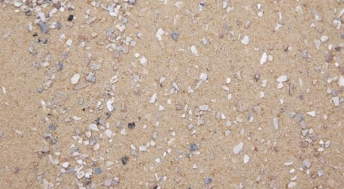 Dihl 2KG Aviary Bird Cage Sand with Oystershell | Calcium & Minerals, Aids Digestive Health and General Well Being, Premium Quality for all Birds