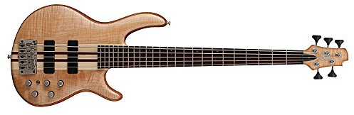 Cort B-001 – 0749 – 0 Professional Electric Bass 5 String