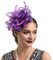 Lazzboy Hut Damen Elegant Fascinator Schwarz Kopfschmuck 20er Jahre Blume Haar Feder Clip Haarklammer Schleier Cocktail Tea Party Kopfbedeckung Stirnband Haarnadel Hochzeit (Lila)