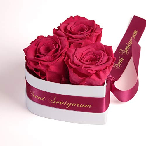Infinity Rosenbox Herz - 3 echte ewige Rosen konserviert in Fuchsia haltbar 3 Jahre 10x12cm - Seni Seviyorum hediye Geschenke Frauen Liebesbeweis Rosemarie Schulz Heidelberg (Seni Seviyorum, Pink)