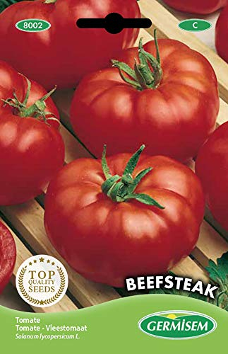 Germisem Beefsteak Semi di Pomodoro 1 g
