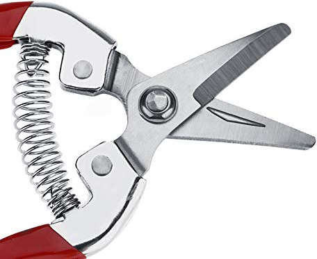 Felco, 1 Pieza, Resistente árbol Frutal, Bonsái, Tijeras de Podar para Jardinería, Tijeras de Jardín, Herramienta de Poda, Hoja Recta (inclinando la cabeza)