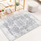 Famibay Soft Fluffy Area Rugs Vintage Boho Door Mats Indoor Non Slip Washable Entrance Rugs Carpet Floor Mats 60x90cm for Indoor Front Door Entryway Hallway