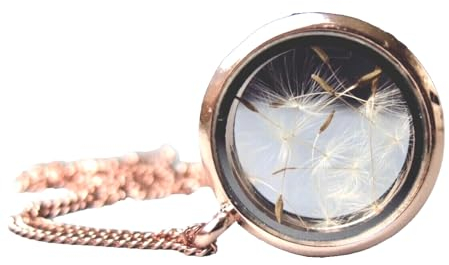 Kette Medaillon Pusteblumen aus Edelstahl rosegold Wunscherfüller Geschenk für Frauen