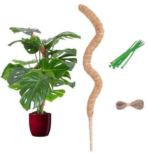 Tuteur et Plante, Monstera Tuteur PliableTuteur Coco pour Plante et Support pour Maison Jardin Domestique
