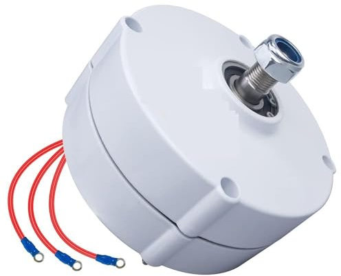 WJWWO Generador De Turbina EóLica 100W 12V 24V, Generador De ImáN Permanente De Tierras Raras Ndfeb De Bajas Revoluciones para Barcos, Sistemas HíBridos De EnergíA EóLica Solar,12V