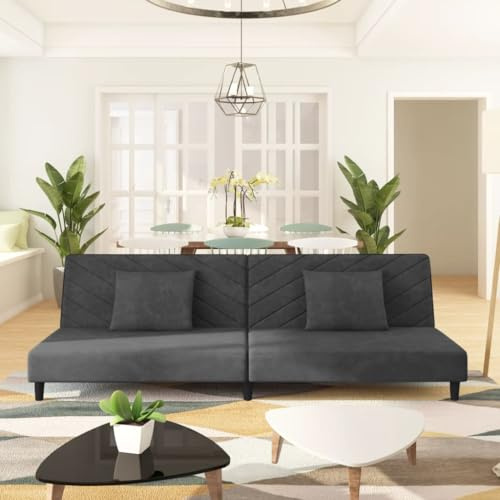 RMIHSJG Schlafsofa 2-Sitzer mit 2 Kissen Dunkelgrau Samt Bettcouch Funktionsmöbel