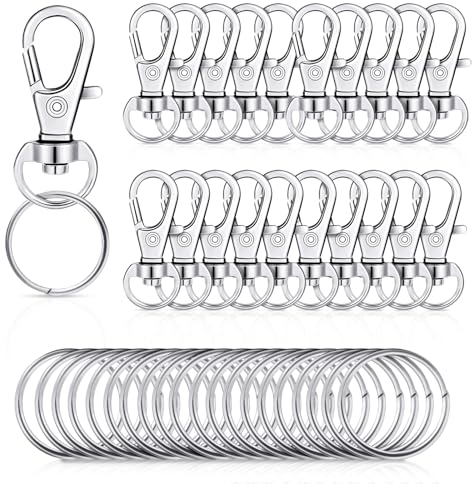 Prasacco 20 Stück Schlüsselanhänger Ring, Schlüsselringe mit Karabiner Schlüsselanhänger Basteln Schlüsselanhänger Ring Schlüsselringe Key Chain Clip für DIY Making Schmuckherstellung Keyrings Ring