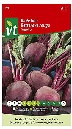 Betterave rouge Detroit 2 Graines