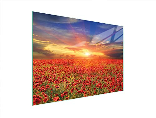 DarHaus Couvercle pour plaque de cuisson universelle en céramique, à induction, Planche à découper en verre 40 x 30 cm, protection anti-éclaboussures, plaque en verre, cuisine, Paysage Coquelicots