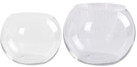 GOOHOCHY Vase Verre Transparent pour Plantes Hydroponiques Décoration Créative De Bureau Et Intérieur pour Fleurs Séchées Et Objets Décoratifs