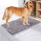YCYATS Cleany Matte Hund, Eingangstürmatte mit Wasserabsorbierenden, Fussmatte für Hund, Schmutzfangmatte, rutschfeste Maschinenwaschbare Fußmatte, Eingang, Flur, Küche, Bad (Grau, 45 * 70cm)