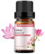 GREENSLEEVES Lotus Essential Oil, 100% Pure, Undiluted Organic Lotus Aromatherapy Diffuser Oils 10ml