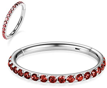 AROWRO Nasenpiercing Ring Helix Piercings Septum Piercing Conch Piercing Tragus Piercing Daith Piercing Rook Piercing Chirurgenstahl Zirkonia Hoop 16g 10mm Silber