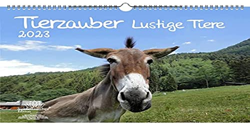 Tierzauber lustige Tiere DIN A3 Kalender für 2023 Lustige Momente mit Tieren - Seelenzauber