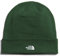 The North Face Norm Beanie-Mütze Pine Needle Einheitsgröße