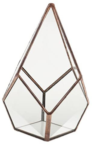 Amagogo Boîte de Terrarium Géométrique en Verre Transparent Jardinière de Table Bricolage, Cuivre 8, 12 x 12 x 17cm