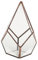 Amagogo Boîte de Terrarium Géométrique en Verre Transparent Jardinière de Table Bricolage, Cuivre 8, 12 x 12 x 17cm