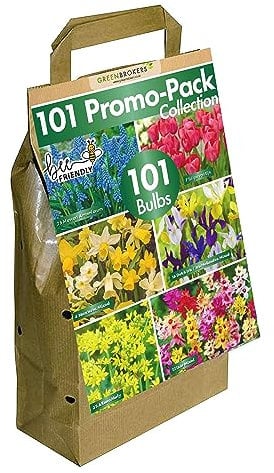 GreenBrokers 101 Promo Pack Bulbs