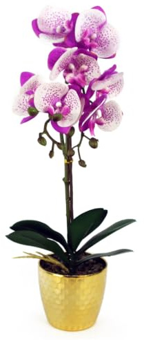 Leaf Design UK Realistic Artificial Orchid Flower Display in Pot