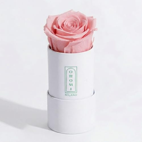 Ottomi Milano 1 Rosa Stabilizzata | Fiori di Lunga Durata in Scatola | Idea Regalo I Fatto a Mano (Rosa)