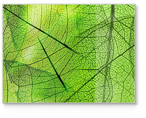 DEQORI Schneidebrett aus Glas | groß 40x30 cm | Motiv Transparente Laubblätter | Design Schneideplatte für Küche | Frühstücksbrett antibakteriell & rutschfest | Glasplatte & Servierplatte