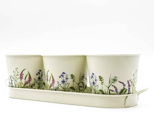 Upper Street British Gardening Company Set of 3 Metal Planters Windowsill Herb Kitchen Garden Succulent Plant & Flower Pots With Tray for Indoor & Outdoor for Mum, Nanny birthday Ideas (Wildflower)