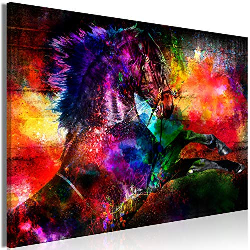 decomonkey Bilder Tiere Abstrakt 60x40 cm 1 Teilig Leinwandbilder Bild auf Leinwand Vlies Wandbild Kunstdruck Wanddeko Wand Wohnzimmer Wanddekoration Deko Pferd bunt