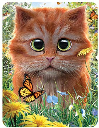 3D LiveLife Magnet - Ginger Kitten from Deluxebase. Lenticular 3D Cat Fridge Magnet. Magnetic decor for kids and adults with artwork licensed from renowned artist, David Penfound