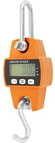 QWORK® Bilancia sospesa digitale, 300kg, bilancia a sospensione in alluminio, per la pesatura del molo, industriale, pesca