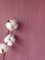 NEWROOM Papier peint Pourpre Couleur Unie Intissé - Couleurs Unies Violet Rouge Bandes Texture Moderne