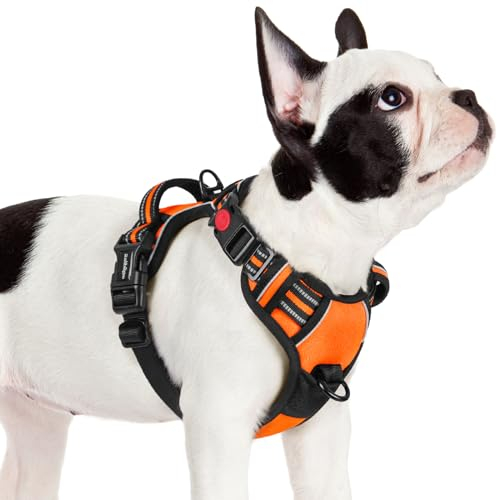 rabbitgoo Hundegeschirr Kleine Hunde, Verstellbare Geschirr Hund ohne Zug & Würgen, Anti Zug hundegeschirr mit Griff, weich Gepolsterte Reflektierende Brustgeschirr, Orange S