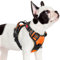rabbitgoo Hundegeschirr Kleine Hunde, Verstellbare Geschirr Hund ohne Zug & Würgen, Anti Zug hundegeschirr mit Griff, weich Gepolsterte Reflektierende Brustgeschirr, Orange S